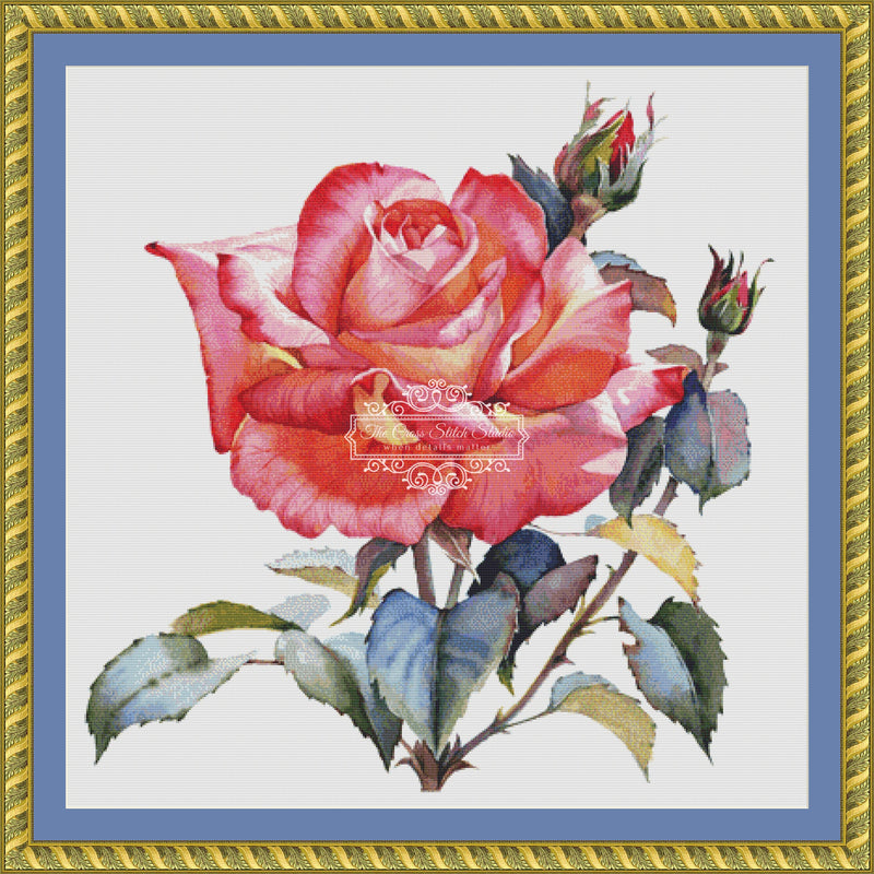 Coral Watercolor Rose (MINI)