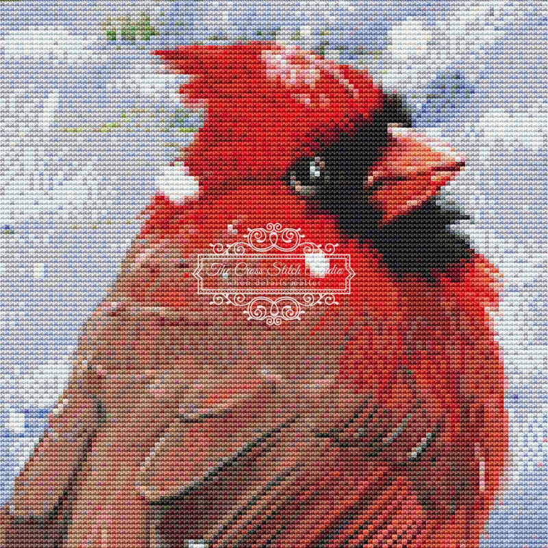Winter Cardinal (CROP - SNIPPET)