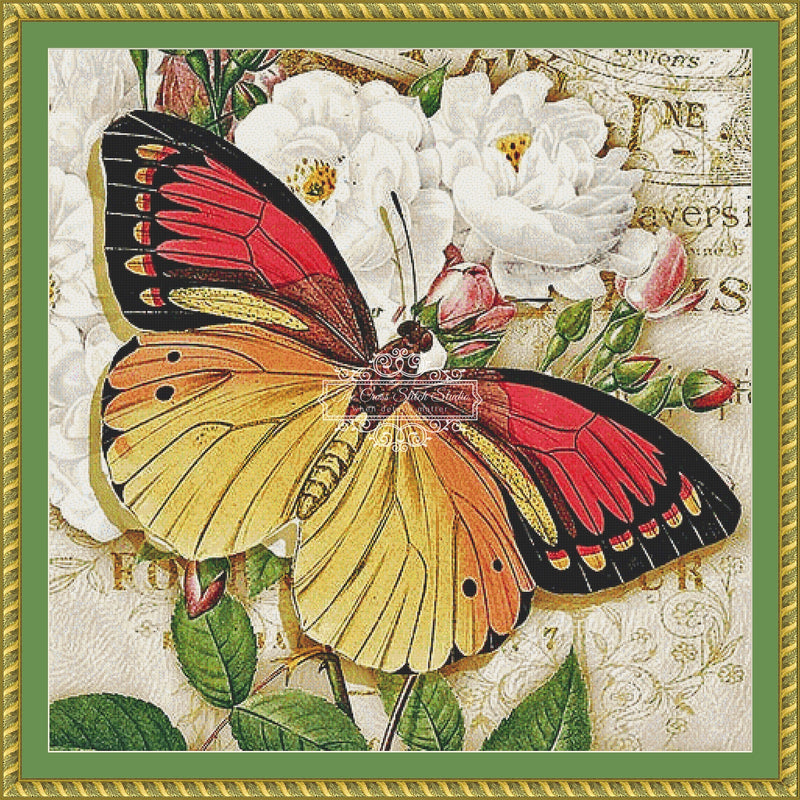 Flutterby Collage 1