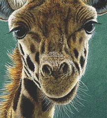 Giraffe Beauty (CROP)