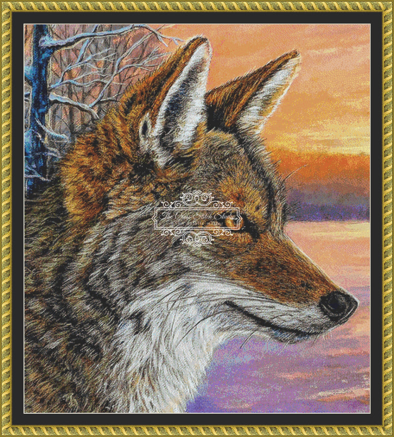 Daybreak Coyote (CROP)