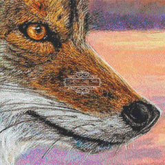 Daybreak Coyote (CROP)