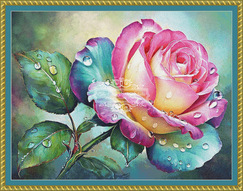 Colorful Rose