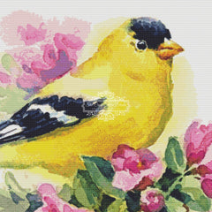 Watercolor Goldfinch
