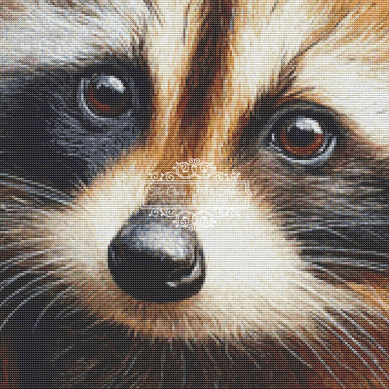 Raccoon in the Den (CROP)
