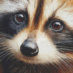Raccoon in the Den (CROP)