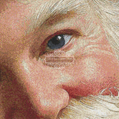 Portrait of Santa (Crop - Mini)