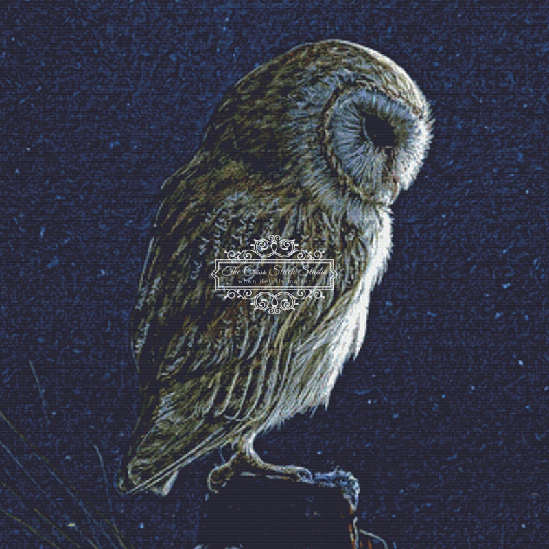 Silent Night Barn Owl (CROP)