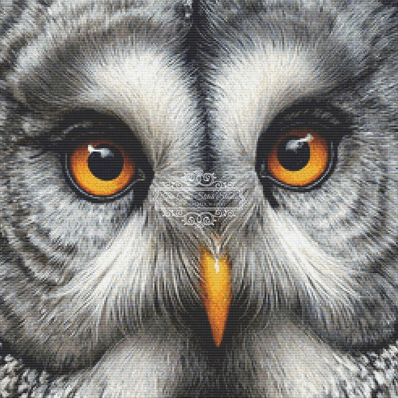 Great Gray Owl