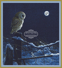 Silent Night Barn Owl