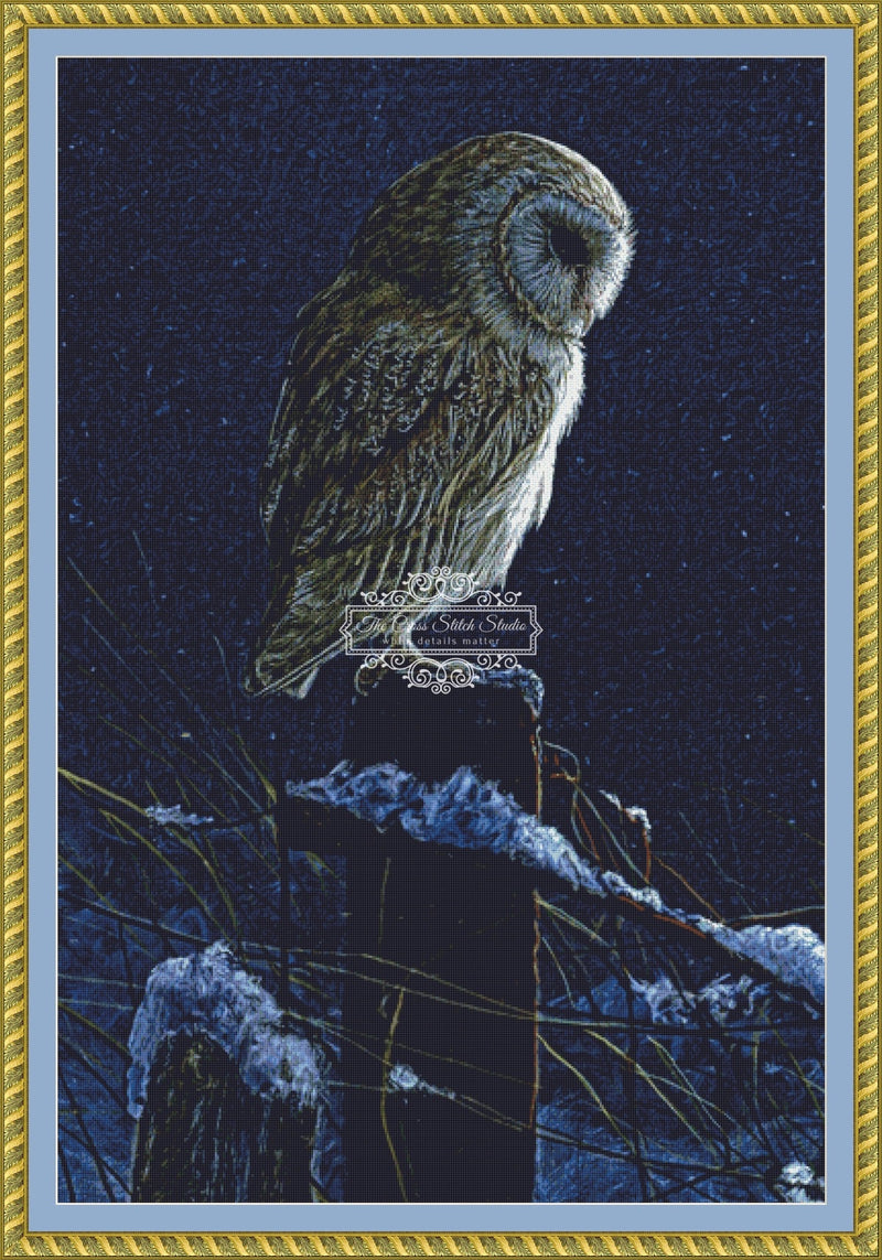 Silent Night Barn Owl (CROP)