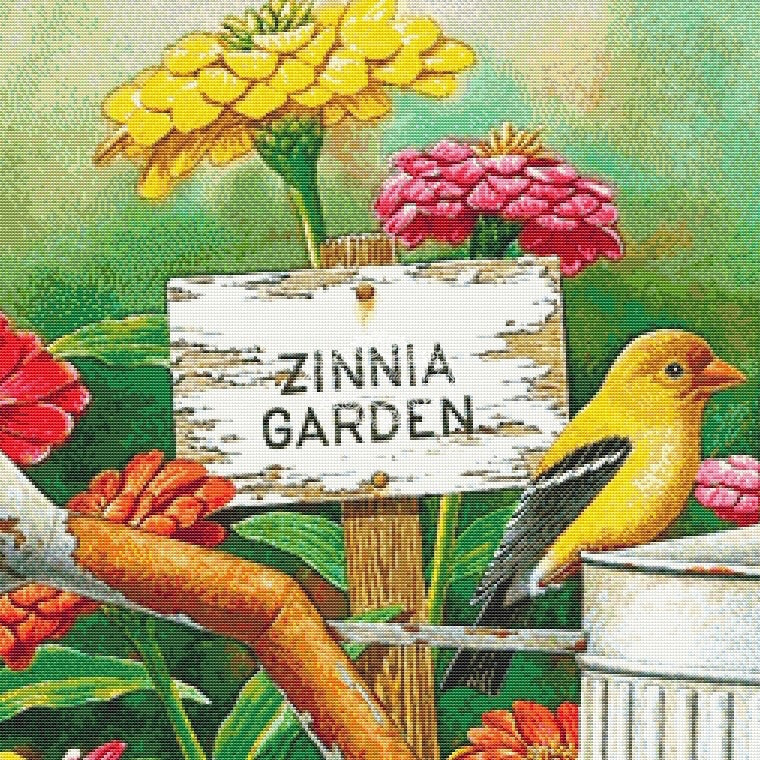 Zinnia Garden