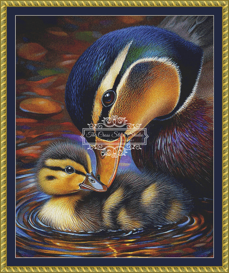 Duck and Baby