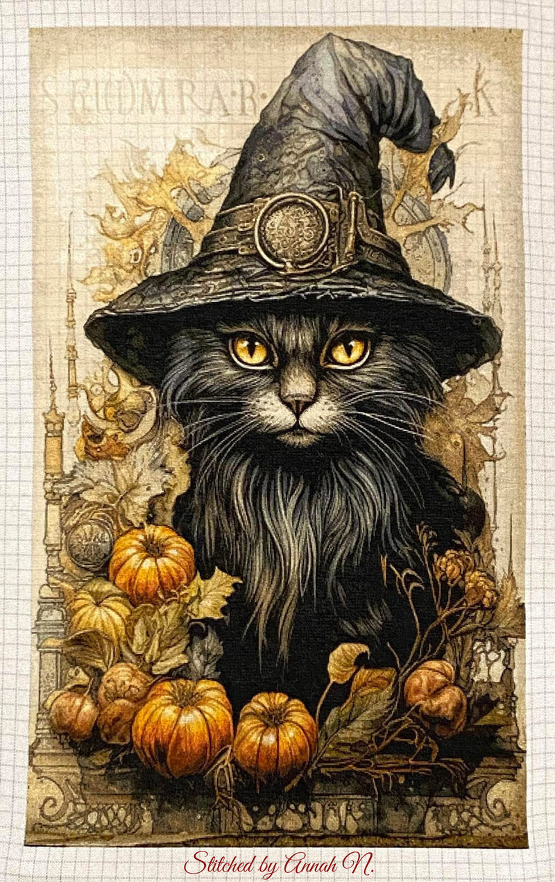 Witchy Kitty