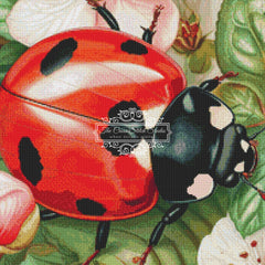 Ladybug Spring (MINI)