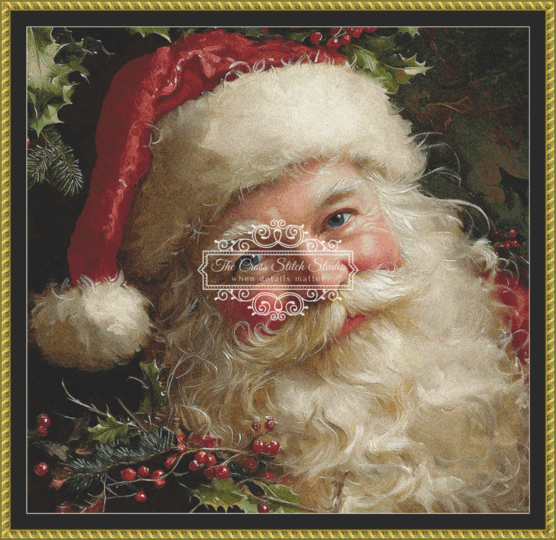 Portrait of Santa