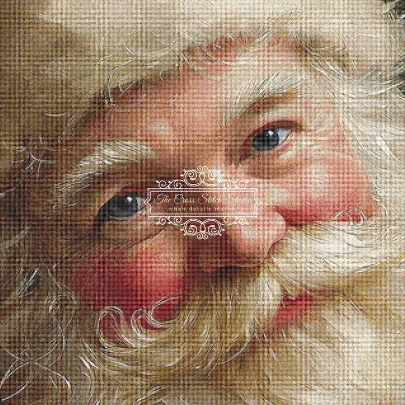 Portrait of Santa