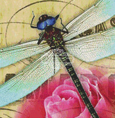 Dragonfly Rose (MINI)