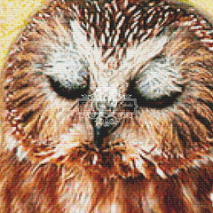 Sleepy Owlet (MINI)