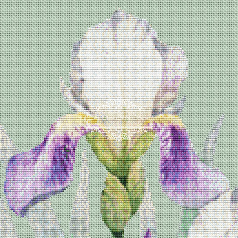 Trio of Irises (CROP - MINI)