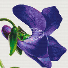 Watercolor Violets (MINI)