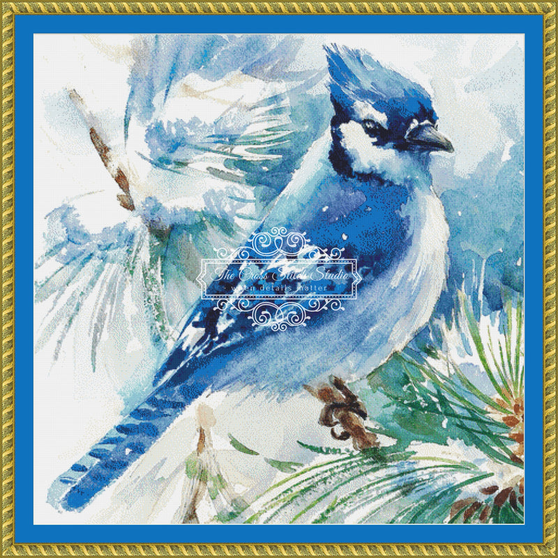 Watercolor Blue Jay